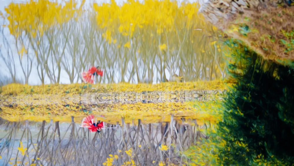 小悦悦事件|你什么人品，就什么命