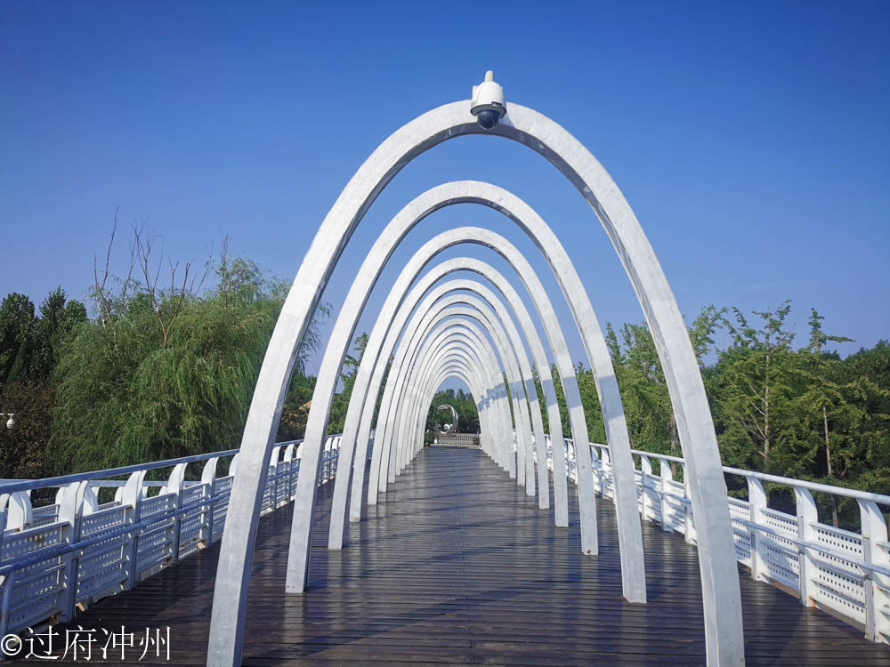 江南|效仿建成的北国江南，林荫湖景样样俱全，荷花正艳