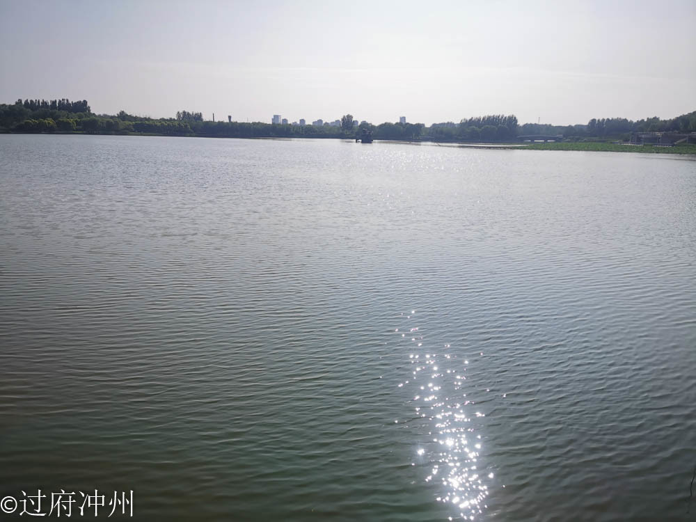 江南|效仿建成的北国江南，林荫湖景样样俱全，荷花正艳