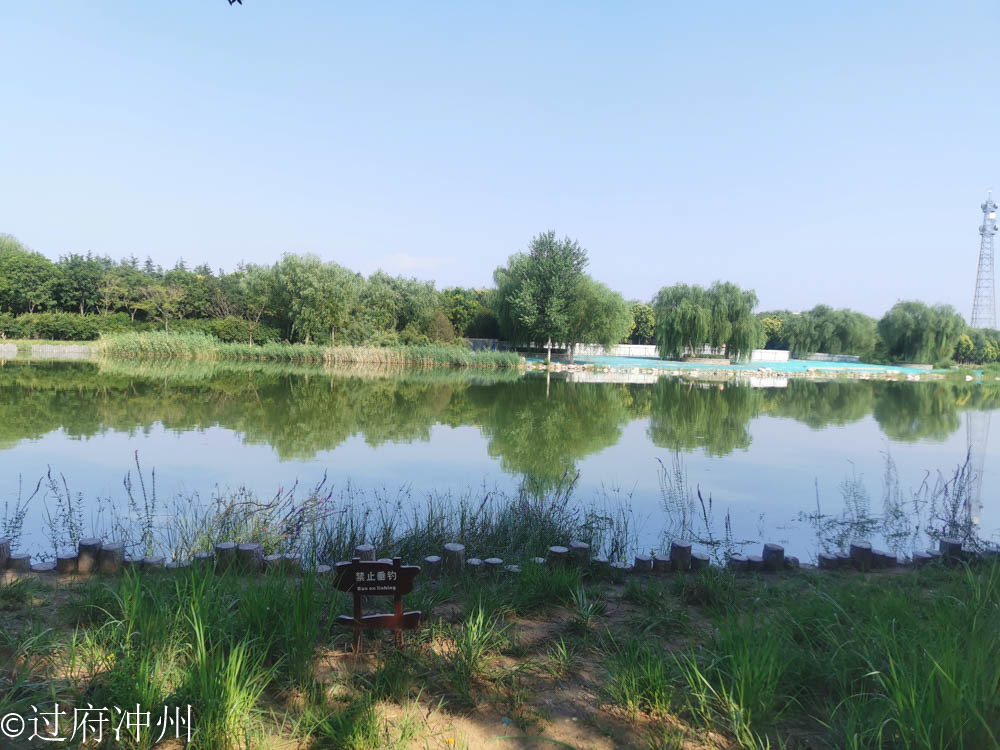 江南|效仿建成的北国江南，林荫湖景样样俱全，荷花正艳