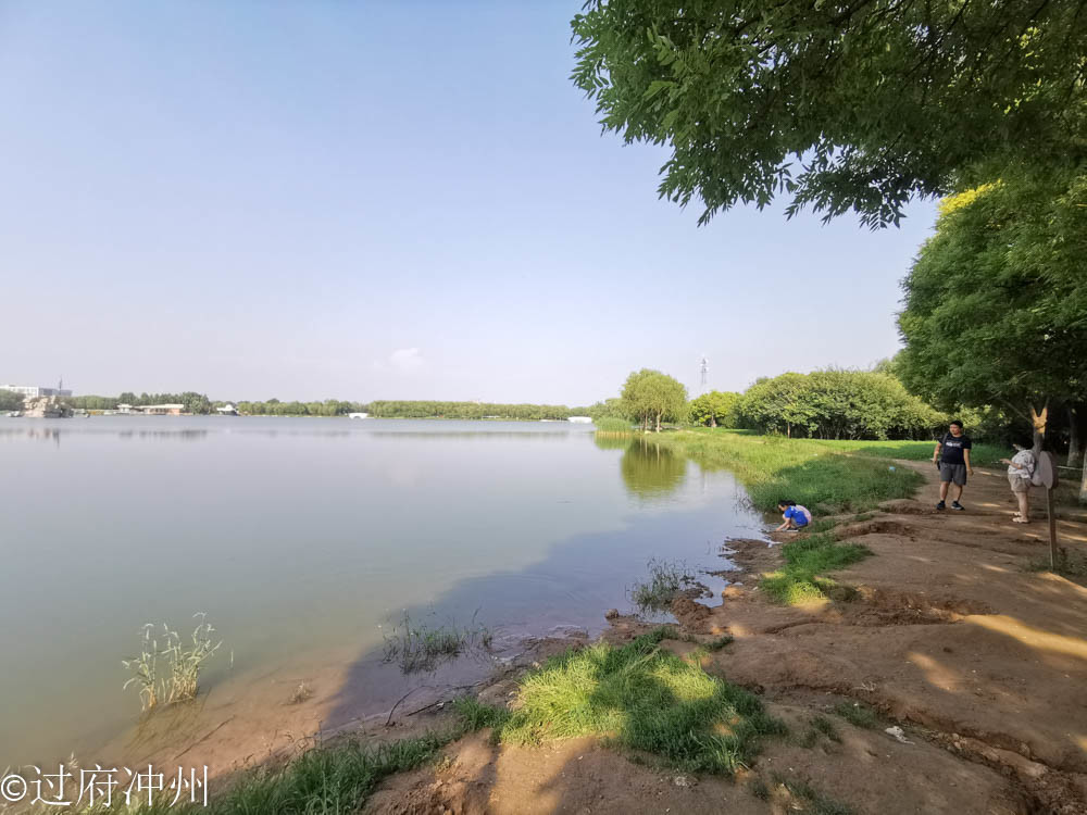 江南|效仿建成的北国江南，林荫湖景样样俱全，荷花正艳