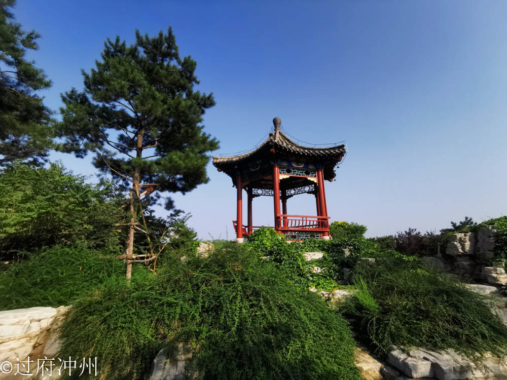 江南|效仿建成的北国江南，林荫湖景样样俱全，荷花正艳