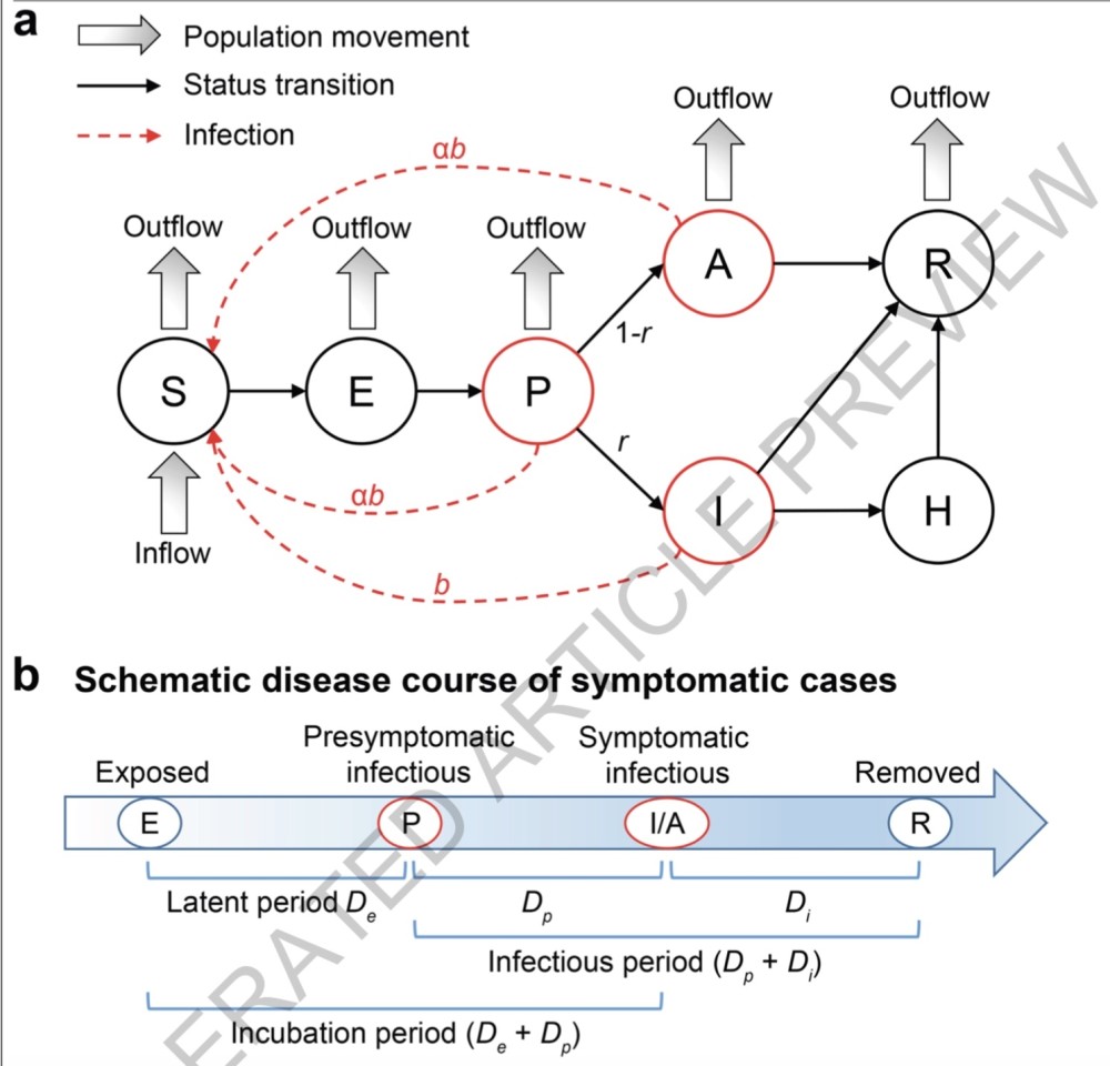 华中科技大学|华中科大、哈佛重建武汉疫情动态：干预措施减少96％感染者