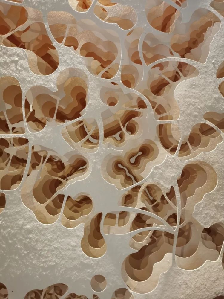 周杰伦|纸折的周杰伦，你见过么？