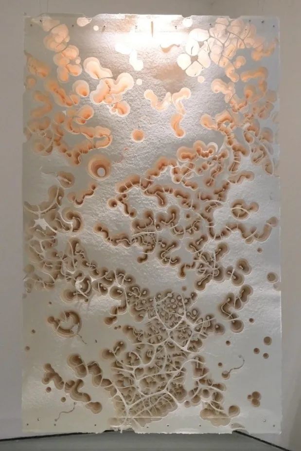 周杰伦|纸折的周杰伦，你见过么？