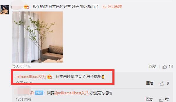 张大奕|张大奕深夜晒素颜照，豪宅内放十几株绿植，不忘提杭州新房炫富！