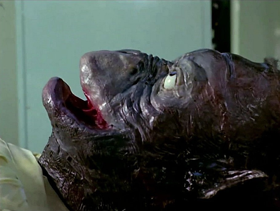 奥特曼最恐怖的5集曾是无数人的心理阴影胆小别点进来