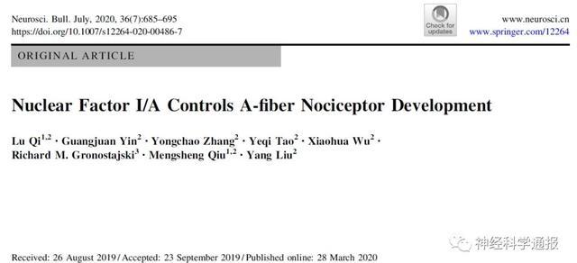杭州师范大学|NB封面：浙大杭师大揭示A纤维伤害性感受器发育的独立遗传模式
