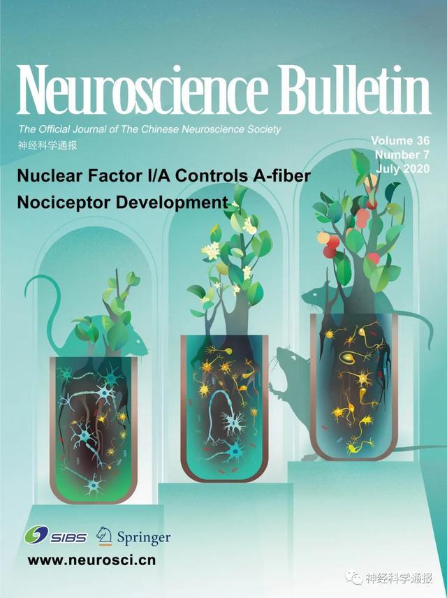 杭州师范大学|NB封面：浙大杭师大揭示A纤维伤害性感受器发育的独立遗传模式