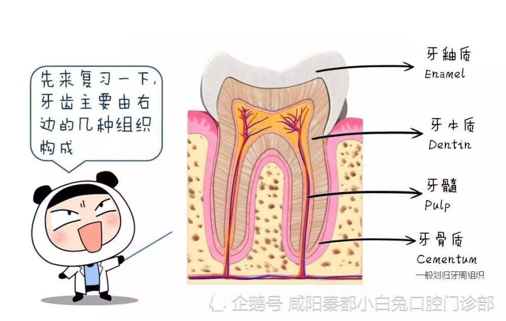 牙齒美白秘籍你值得擁有