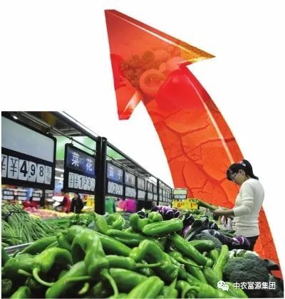 洪灾|洪灾致全国133.9千公顷农作物绝收 农产品价格何去何从？