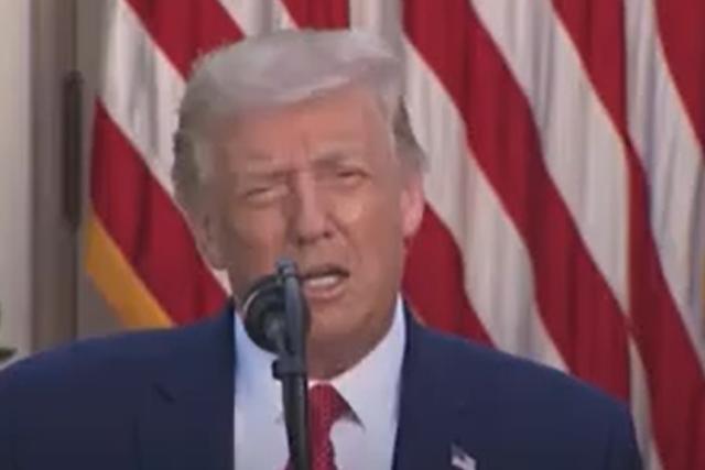 唐纳德·特朗普|忘了染发？特朗普发色变灰白后遭众人嘲笑，之后又变回经典橙色