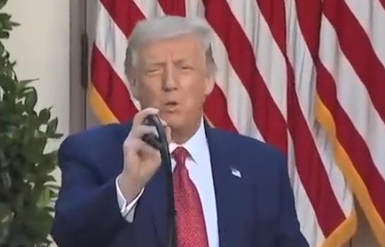 唐纳德·特朗普|忘了染发？特朗普发色变灰白后遭众人嘲笑，之后又变回经典橙色