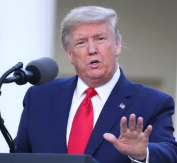 唐纳德·特朗普|忘了染发？特朗普发色变灰白后遭众人嘲笑，之后又变回经典橙色