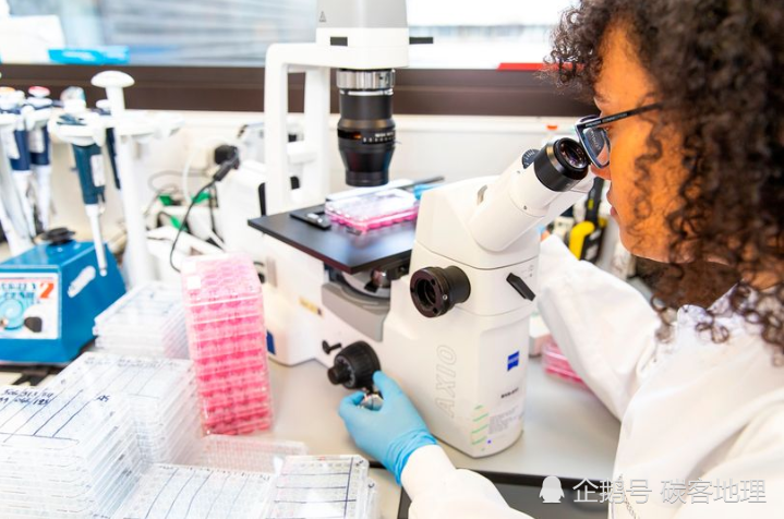 俄罗斯黑客|美国：俄罗斯黑客正在对美英加新冠病毒疫苗实验室发动袭击，窃取信息