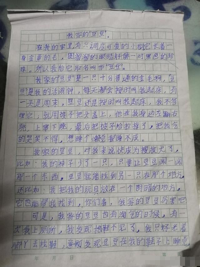 豆豆|一字之差，出生入死：孩子的培养要从“芝麻绿豆”抓起