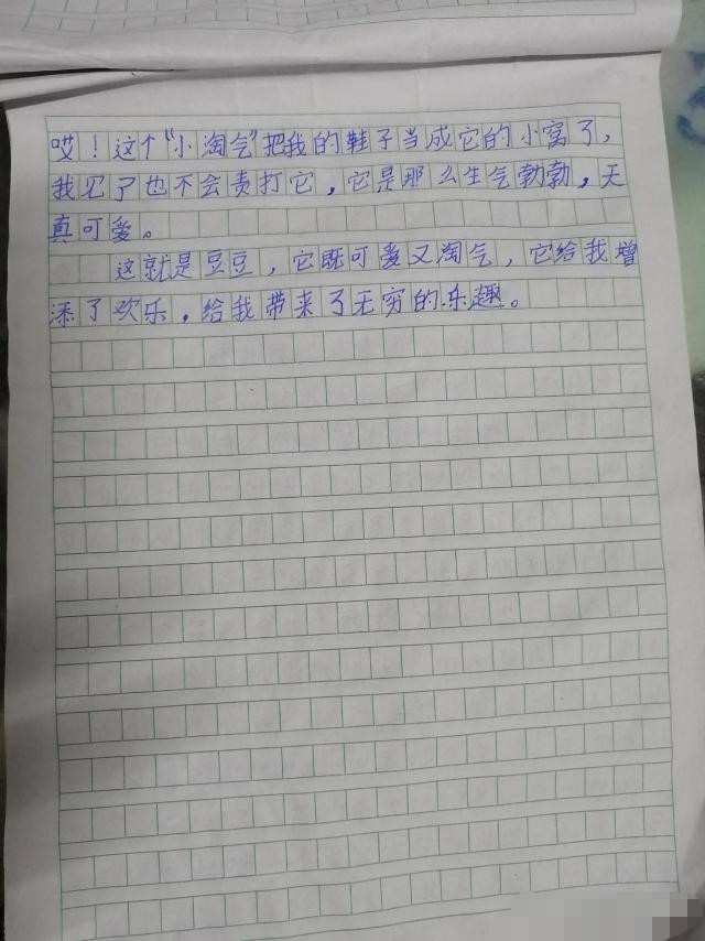 豆豆|一字之差，出生入死：孩子的培养要从“芝麻绿豆”抓起