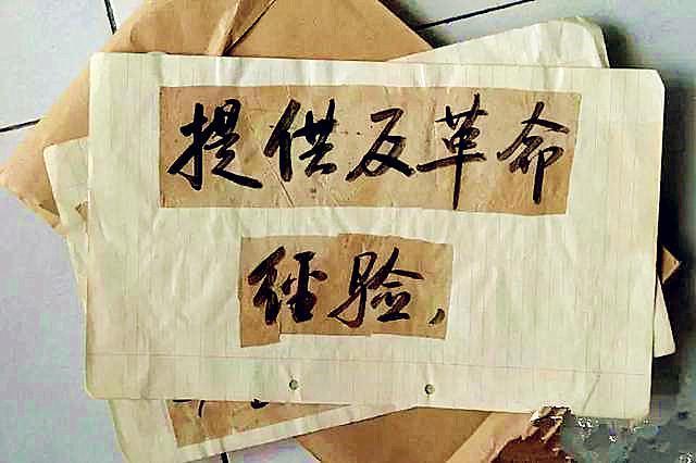 启功|启功当年写的大字报，被收藏界炒出天价，深夜排队偷字的人发财了