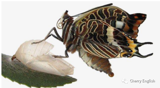 学英语有什么好处 腾讯新闻