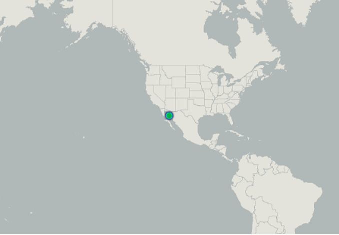 狐狸|萌化了少女心的粉红色小蛇可不止一种