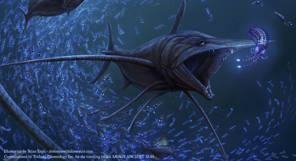 恐龙时代的剑鱼嘴中长满锋利牙齿