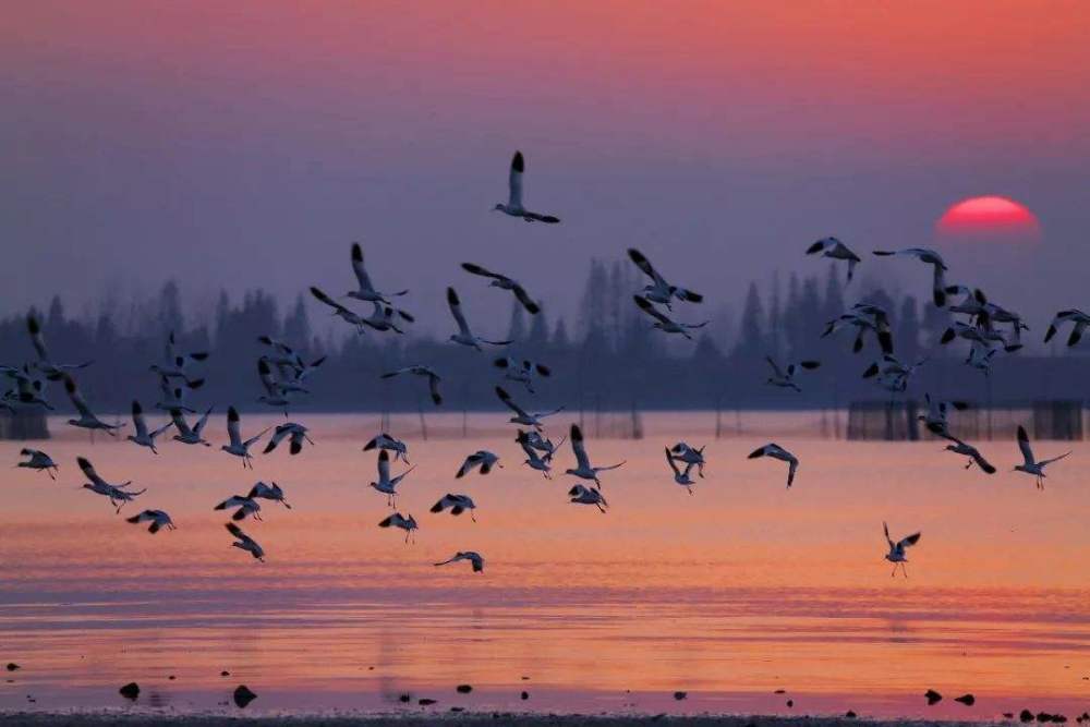 三峡大坝|如果把三峡大坝加高10米，截留更多的洪水，可行吗？