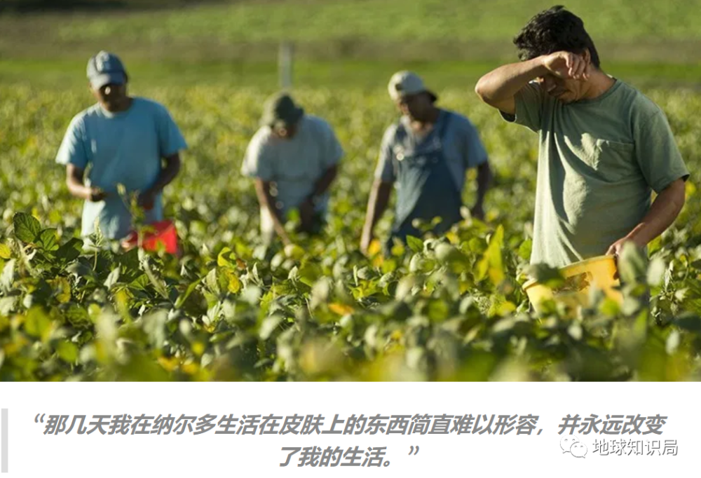 意大利|意大利，农民工太难了