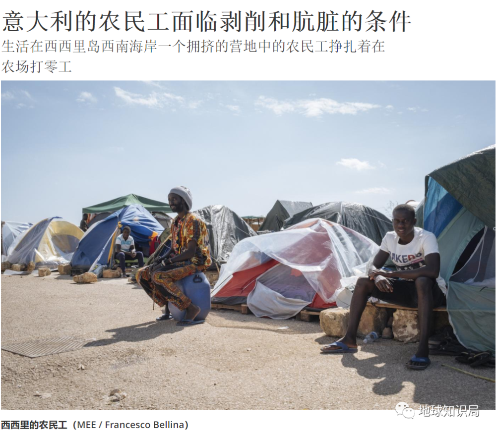 意大利|意大利，农民工太难了