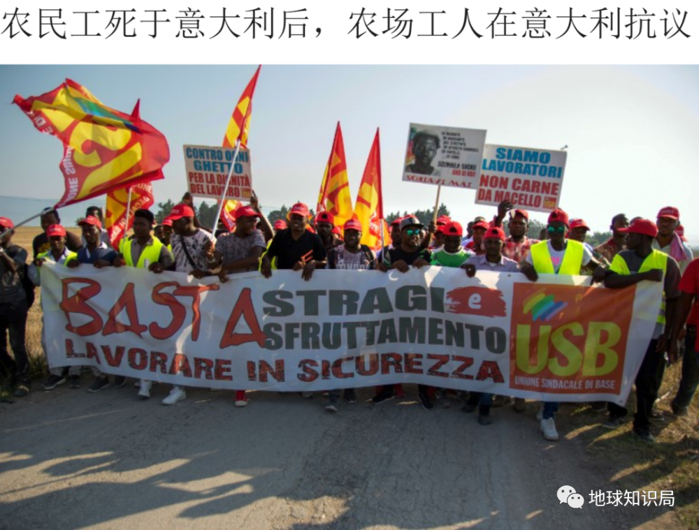 意大利|意大利，农民工太难了