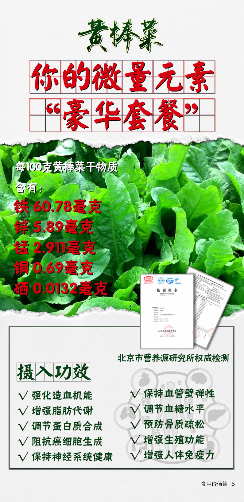 北京市营养源研究所权威检测显示: 每100克黄棒菜干物质:含铁 60.