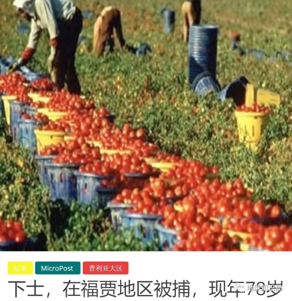 意大利|意大利，农民工太难了