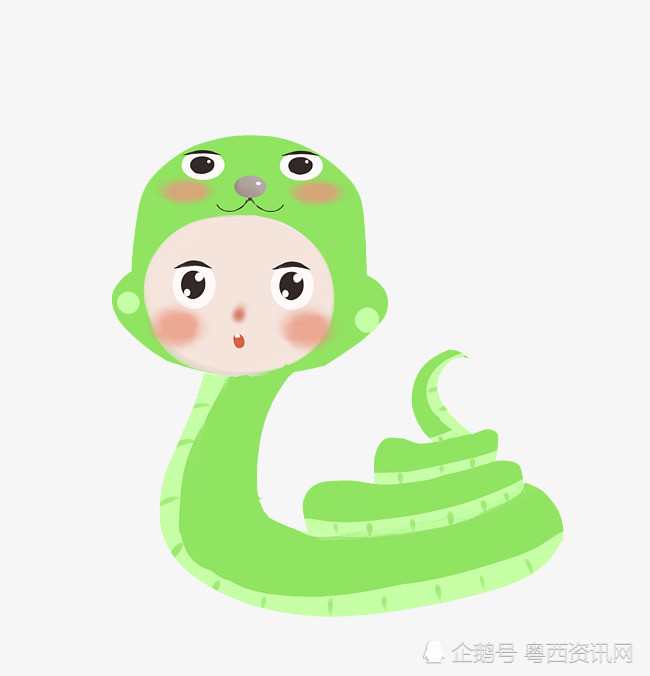 阳江市民:晚间公园散步遇上蛇"心惊惊"