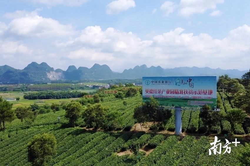 勤丰村采茶能手金姐的小确幸