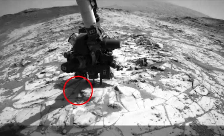 火星|火星真有生命？NASA隐瞒关键性信息？距离人类迁徙火星还有多久？