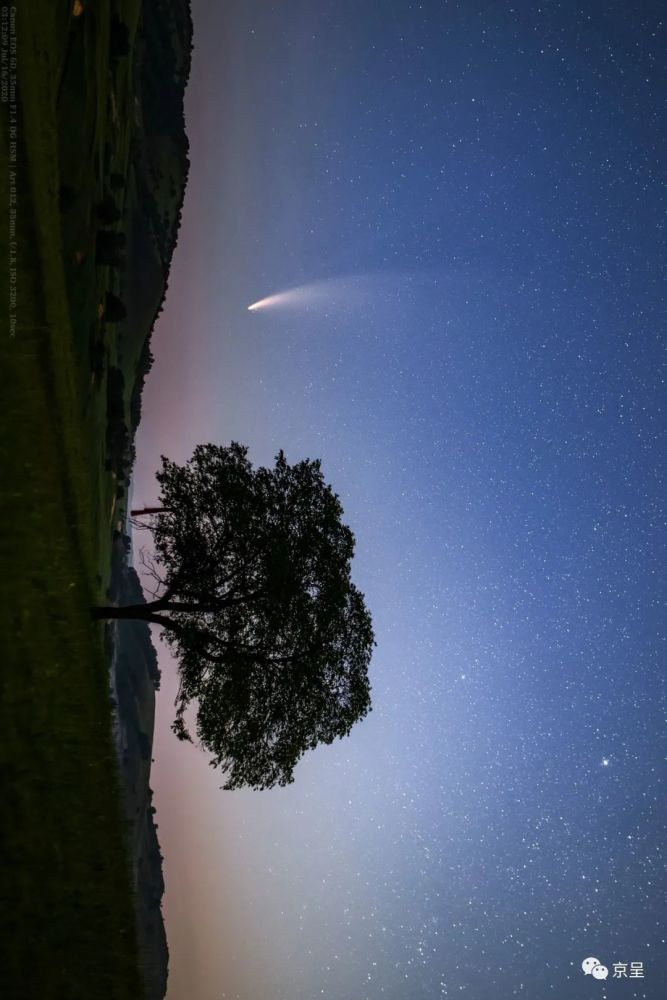 地球|错过再看要等6800年！“黑马”彗星明天将离地球最近