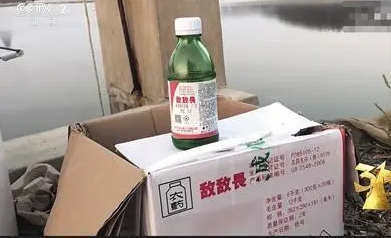 海参|海参池塘放敌敌畏，真不把消费者健康当回事