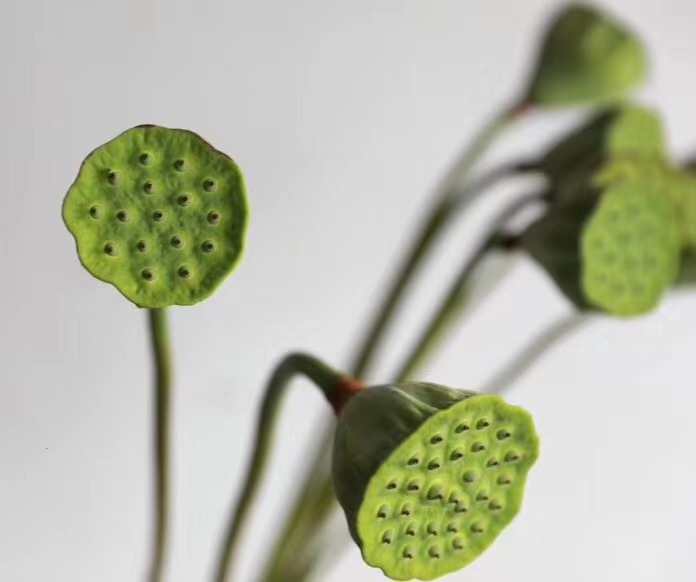 彩舫下垂杨 深入荷花去 浅笑擘莲蓬 去却中心苦 腾讯新闻