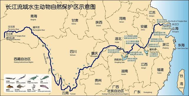 三峡大坝|为什么不加高三峡大坝抵挡洪水，鄱洞两湖对长江流域有何影响？