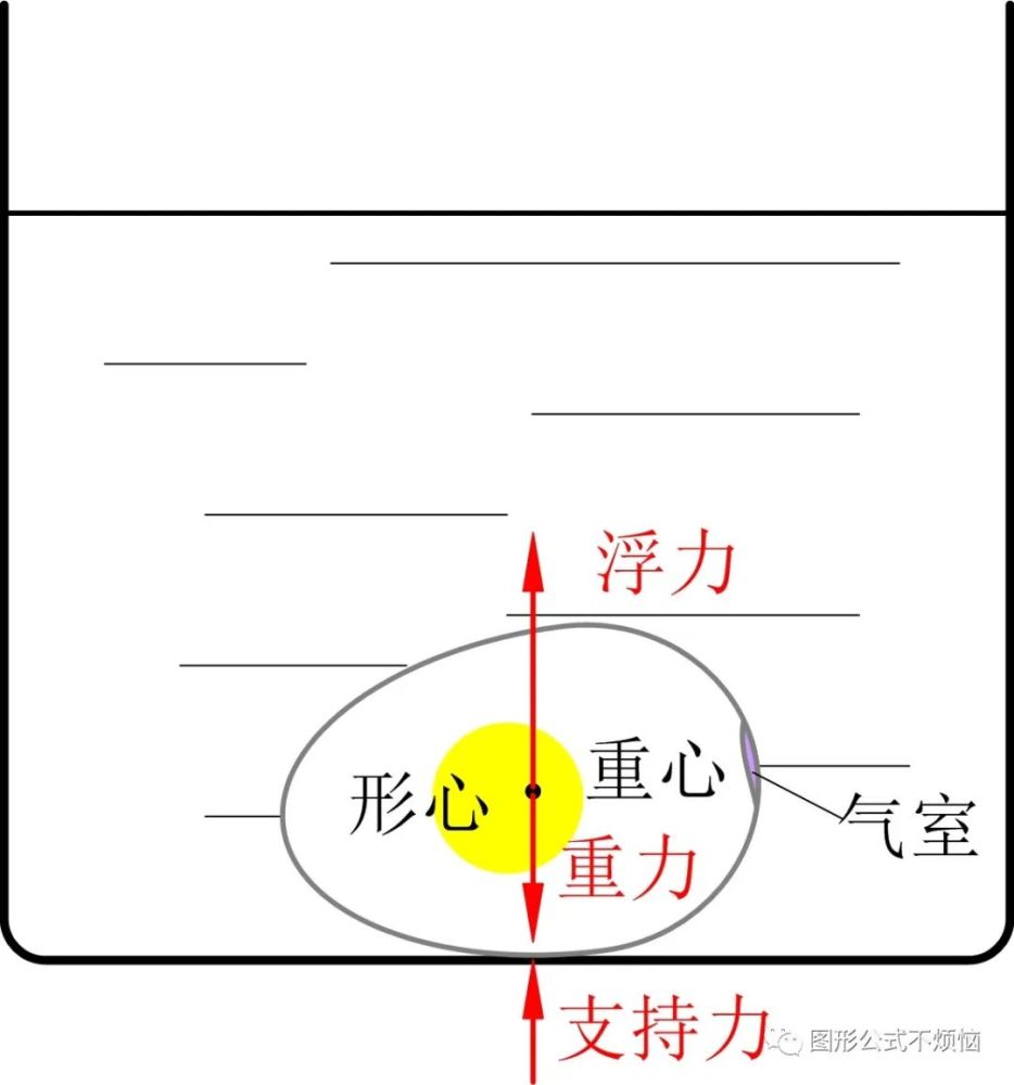 鸡蛋|如何用一杯水挑出最新鲜的蛋？挑鸡蛋终极秘诀请收好