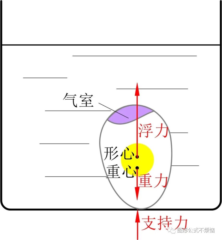 鸡蛋|如何用一杯水挑出最新鲜的蛋？挑鸡蛋终极秘诀请收好