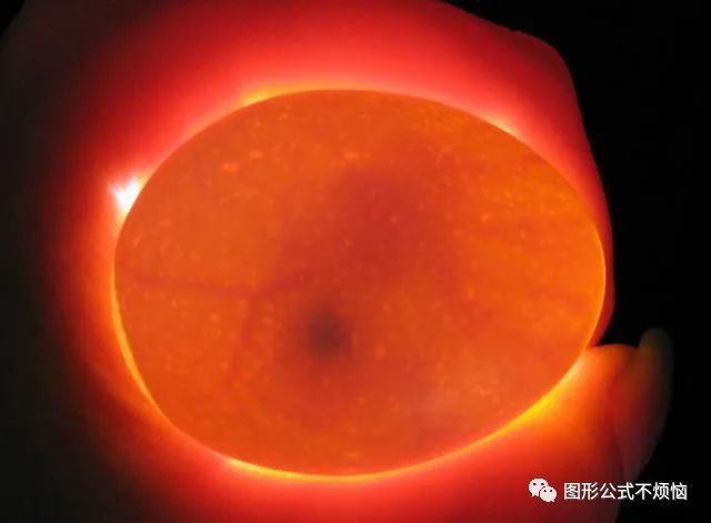 鸡蛋|如何用一杯水挑出最新鲜的蛋？挑鸡蛋终极秘诀请收好