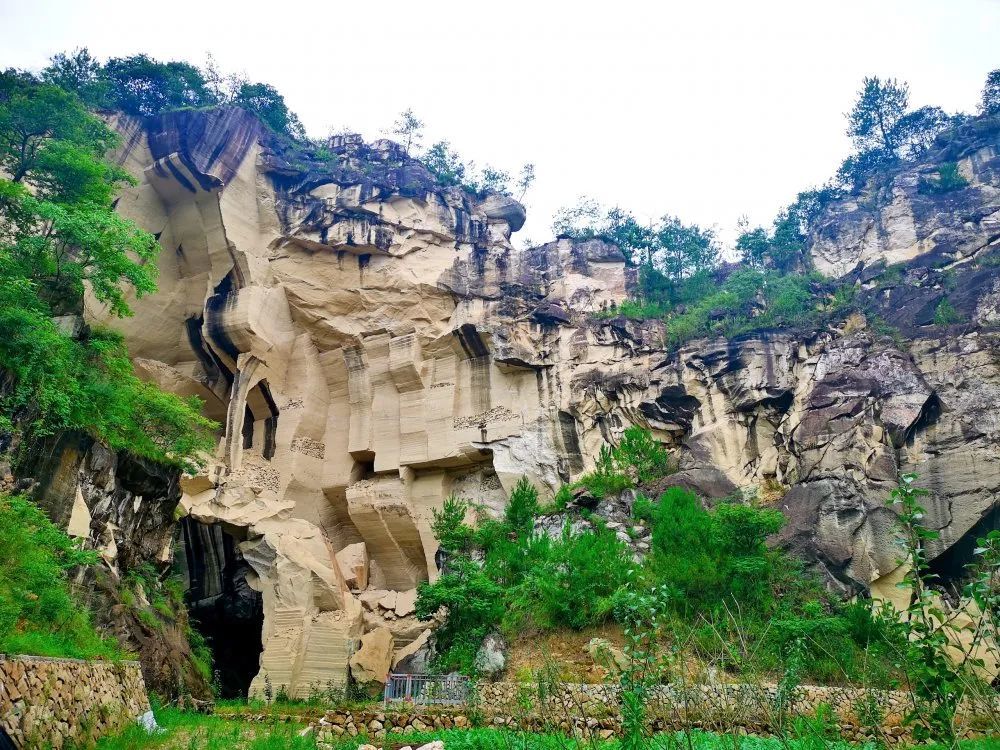 号外缙云本地翠冠梨熟啦这个夏天真的梨不开采摘走起