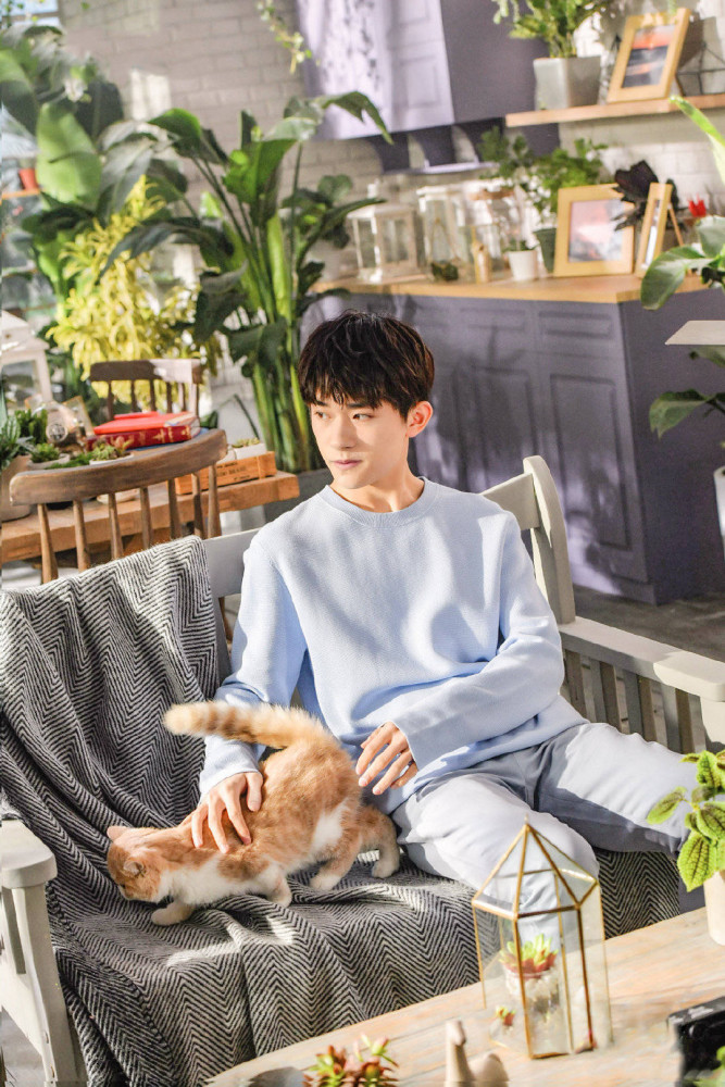 易烊千玺|易烊千玺·四字不一定是成语，还有可能是易烊千玺