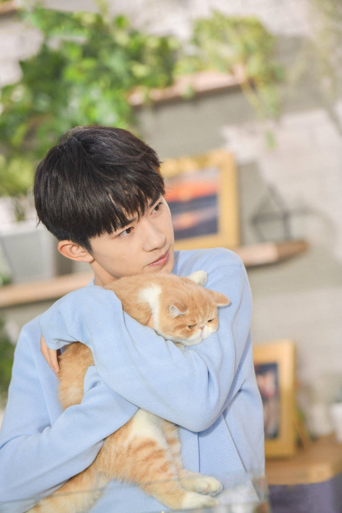 易烊千玺|易烊千玺·四字不一定是成语，还有可能是易烊千玺