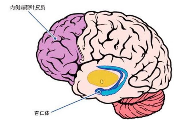 别闹了!看这两个部位才靠谱
