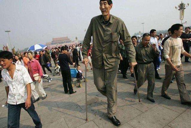 鲍喜顺|夏淑娟|娇妻|身高