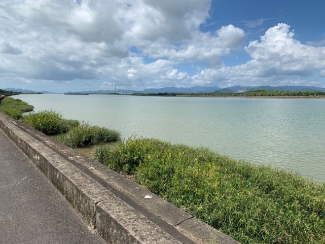 江门沙仔岛治理获野生鸟类点赞