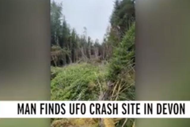 英国_社会|离奇！英国男子声称发现“UFO坠毁地点”，大批树木连根倒下