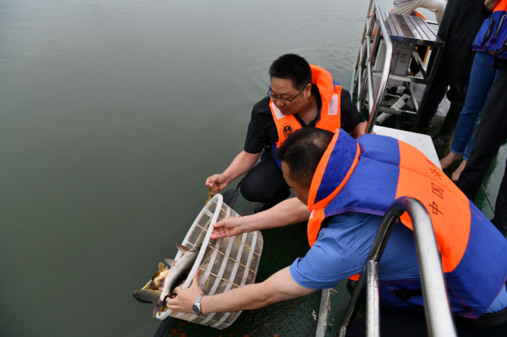 严厉打击 修复性司法 护航汉江流域十年禁渔