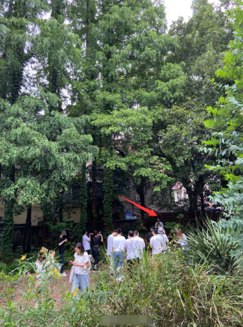 胡歌|胡歌久违营业状态爆棚，穿白衬衫手插裤兜依旧清秀帅气